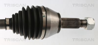 PLANETARA TRISCAN 854016664 3