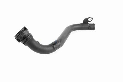 FURTUN EAR SUPRAALIMENTARE ACKOJA A380387 4