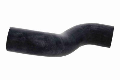 FURTUN EAR SUPRAALIMENTARE