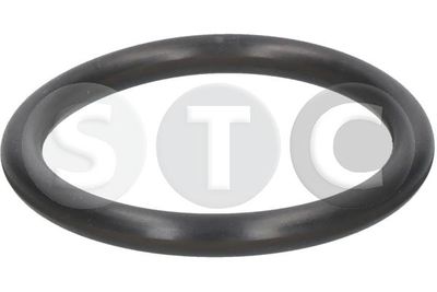 DICHTUNG DROSSELKLAPPENSTUTZEN