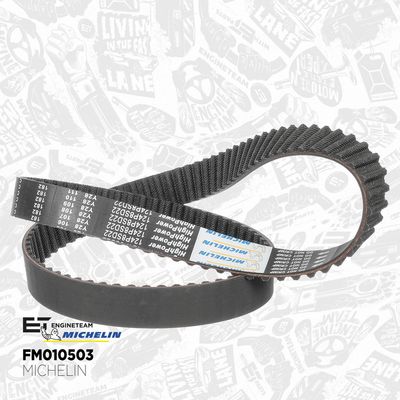 SET CUREA DE DISTRIBUTIE ET ENGINETEAM RM0036 2
