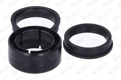 BUCSA ARBORE DE DIRECTIE BIRTH 4144 8