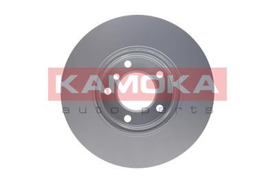 Brake Disc 1031668