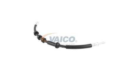 FURTUN FRANA VAICO V104209 30