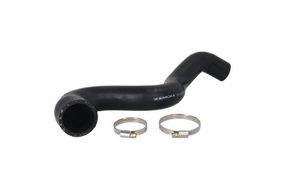 FURTUN EAR SUPRAALIMENTARE