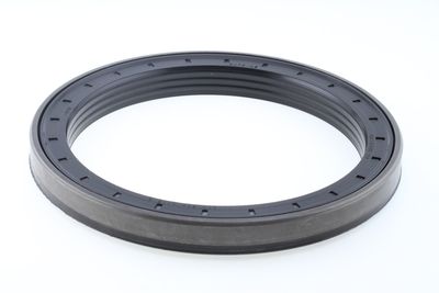 Wellendichtring, Radnabe