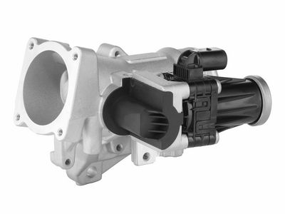 SUPAPA EGR BorgWarner 729005D 1