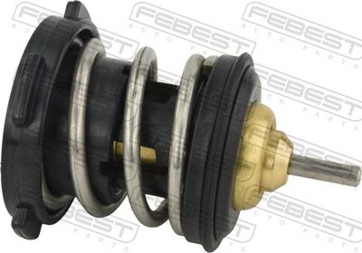 TERMOSTAT LICHID RACIRE