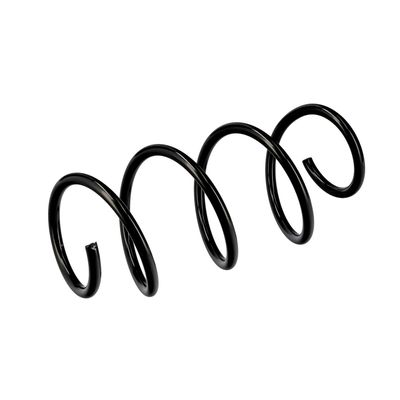 ARC SPIRAL EIBACH R10483 17