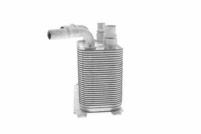 RADIATOR ULEI ULEI MOTOR VEMO V48600029 3
