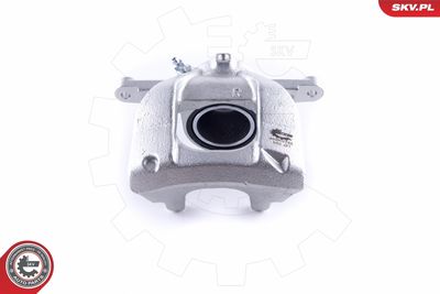 Brake Caliper 46SKV742