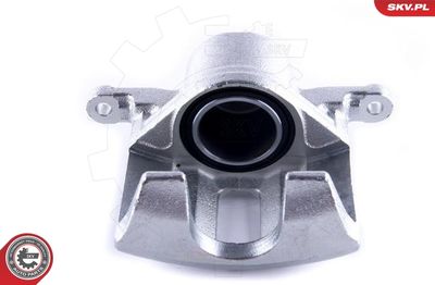 Brake Caliper 55SKV242