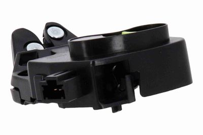 INCUIETOARE HAION ACKOJA A26850030 3