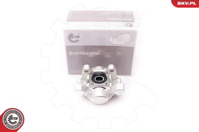 Brake Caliper 34SKV254