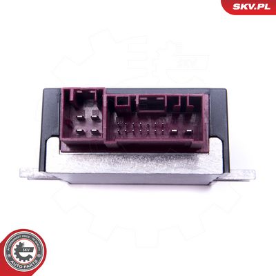 Centralina, Pompa carburante ESEN SKV 96SKV211