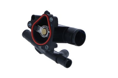 TERMOSTAT LICHID RACIRE NRF 725045 13