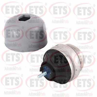 окачване, двигател ETS 02.EM.113