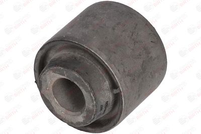 SUPORT TRAPEZ BIRTH 2957 11