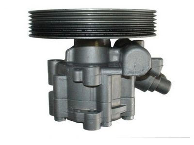 HYDRAULIKPUMPE LENKUNG SPIDAN 54181 3