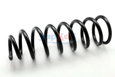 ARC SPIRAL