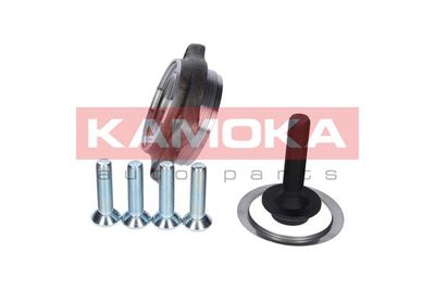 Wheel Bearing Kit 5500130