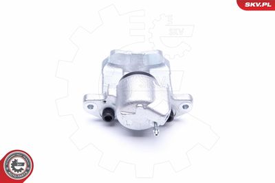 Brake Caliper 45SKV291