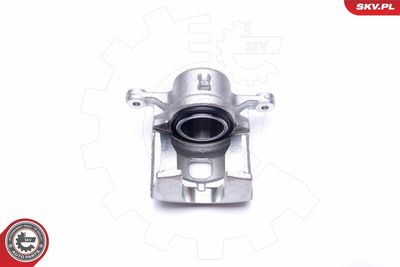 Brake Caliper 42SKV491