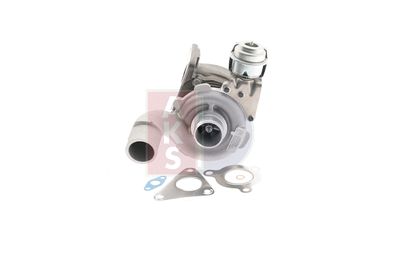 LADER AUFLADUNG AKS DASIS 185006N 1