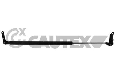 CAUTEX 773005 Амортизатор багажника и капота  для TOYOTA PREVIA (Тойота Превиа)