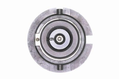 GLüHLAMPE FERNSCHEINWERFER VEMO V99840031 2