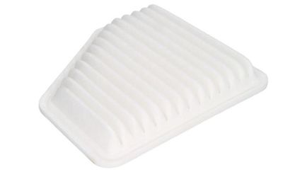 Air Filter B22104PR