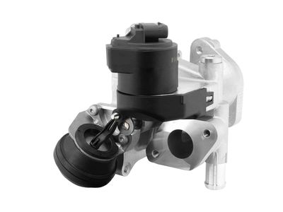 AGR-VENTIL BorgWarner 710626D0 1