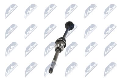 PLANETARA NTY NPWPE017 35