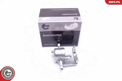 Brake Caliper 42SKV473