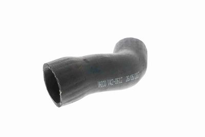 LADELUFTSCHLAUCH VAICO V420612 1