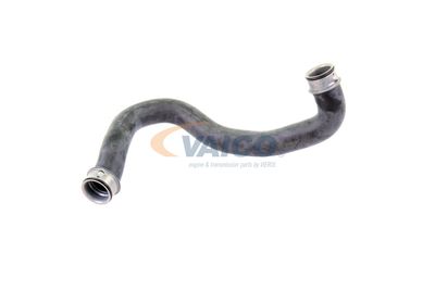 KüHLERSCHLAUCH VAICO V302224 13