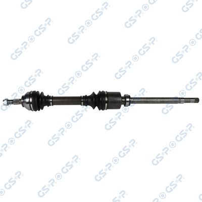 PLANETARA GSP 210313