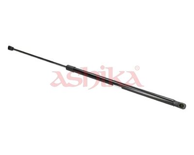 ZSA09195
