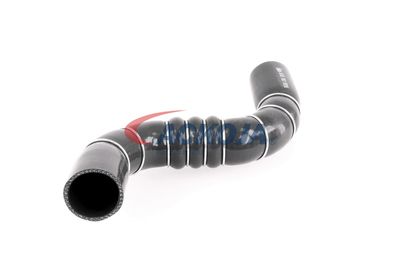 FURTUN EAR SUPRAALIMENTARE ACKOJA A389602 29