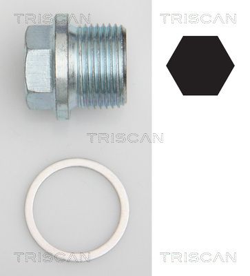 Резьбовая пробка, масляный поддон TRISCAN 9500 1102 для BMW 2.5-3.2
