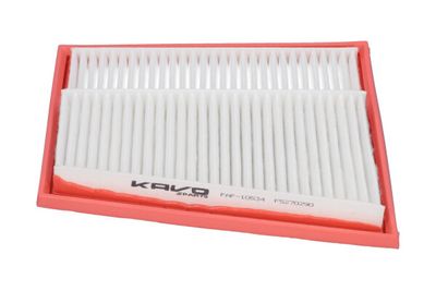 Kavo Parts Oro filtras