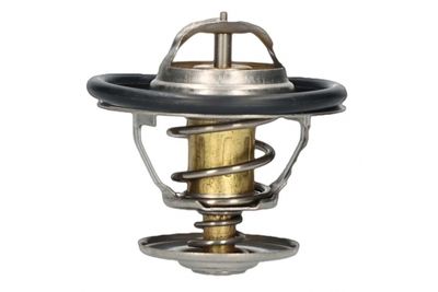 TERMOSTAT LICHID RACIRE