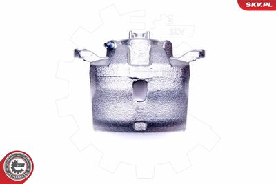 Brake Caliper 45SKV011