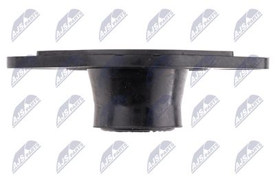 CAPAC INJECTOR NTY BWPPL002A 1