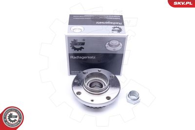 Wheel Bearing Kit 29SKV197