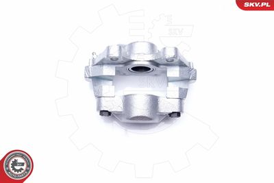 Brake Caliper 34SKV904