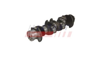 ARBORE COTIT FAST FT51759 19