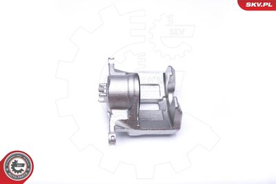 Brake Caliper 42SKV242