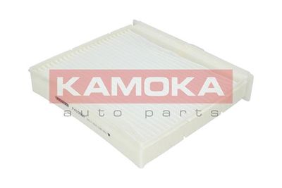 Filter, cabin air F410501