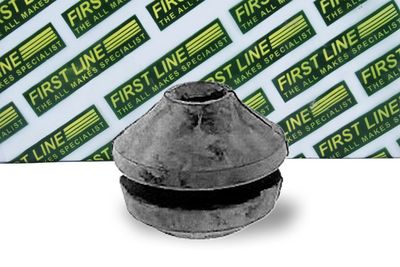 окачване, двигател FIRST LINE FEM3148